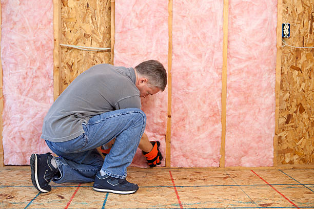 Best Residential Insulation in Charlevoix, MI